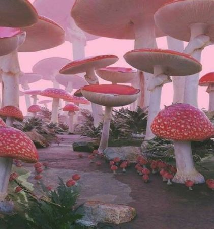 dreamcore mushrooms