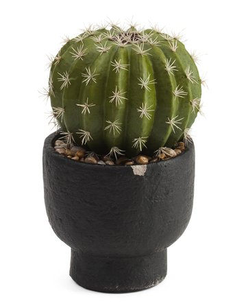 12.5in Faux Cactus In Cement Pot - Home - T.J.Maxx