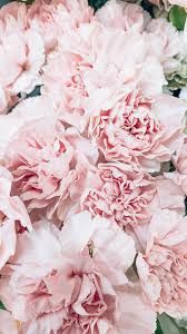 pink flower aesthetic - Google Search