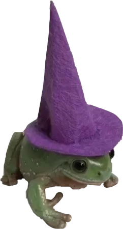 wizard frog
