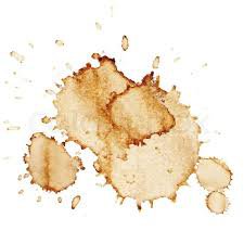 coffee stain - Google Search