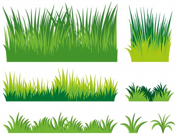 different-doodles-of-grass_1308-2804.jpg (626×486)