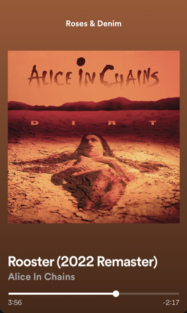Alice In Chains (my playlist)