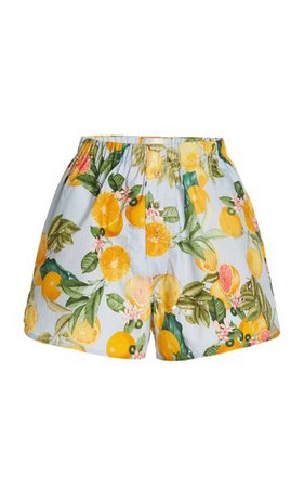 Brooks Cotton Mini Shorts By Cara Cara | Moda Operandi
