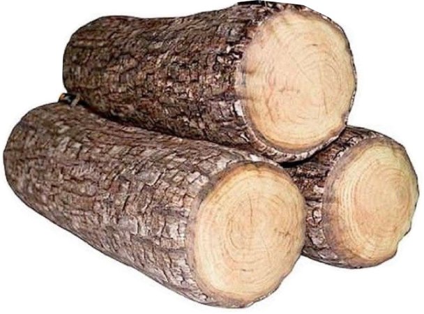 logs