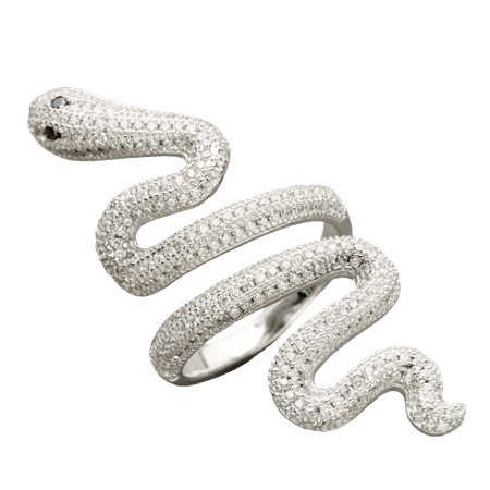 Taylor Swift Store - Snake Ring