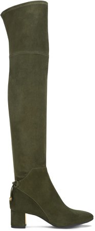 Laila Suede Over-The-Knee Boot