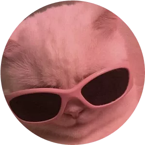 cat meme fab glasses pink Sticker by maldonadopi34