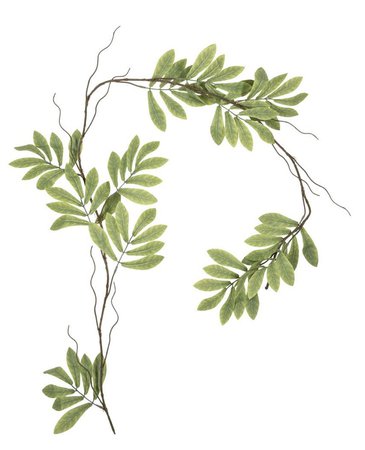 leafy branch