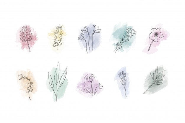 Free Vector | Collection of hand drawn flowers on watercolor stains