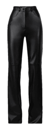 leather pant