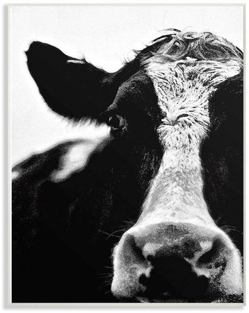 cow aesthetic black and white - Google Search