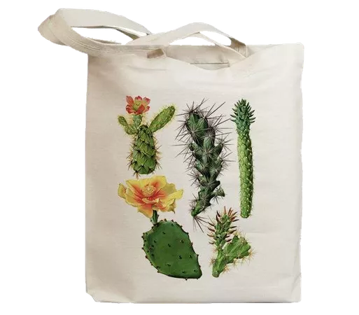 transparent cactus bag