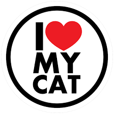 i heart my cat pfp - Google Search