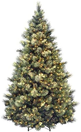 Amazon.com: National Tree Carolina Pine Tree with Clear Lights , 7.5 Feet : Home & Kitchen