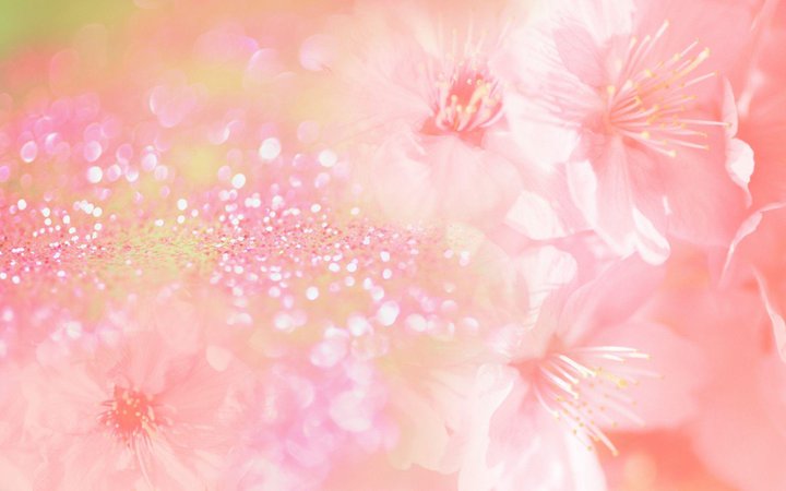 Pink Backgrounds Wallpapers - Wallpaper Cave