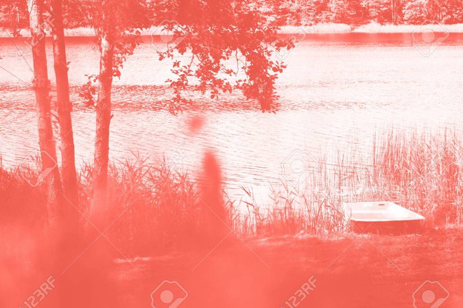 128268039-river-landscape-tree-boat-pure-nature-in-trendy-coral-color-background-summer-concept-.jpg (1300×867)