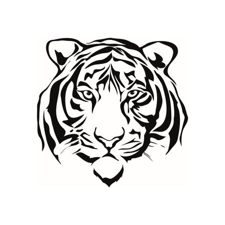 white tiger art sketches - Google Search