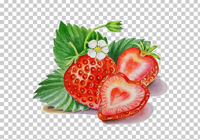 watercolour strawberry - Google Search