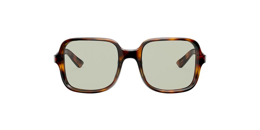 AlexaChung HU4005 54 Green & Tortoise Sunglasses | Sunglass Hut USA