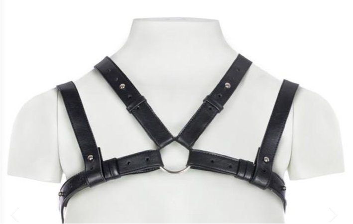 deandri harness