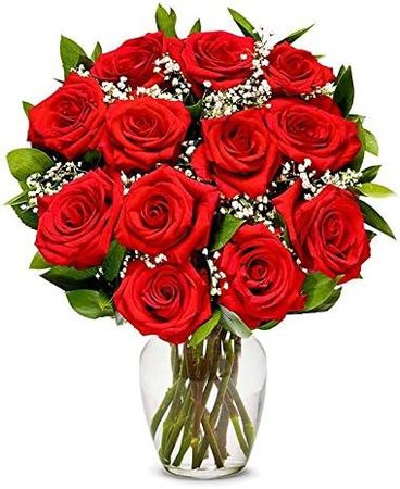 Amazon.com : From You Flowers - One Dozen Long Stemmed Red Roses with Free Vase (Fresh Flowers) Birthday, Anniversary, Get Well, Sympathy, Congratulations, Thank You : Fresh Cut Format Rose Flowers : Grocery & Gourmet Food