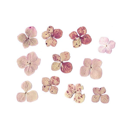 dried pink flowers