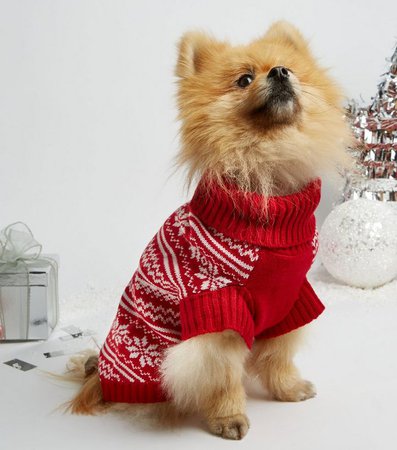 Red Fair Isle Christmas Dog Jumper | New Look