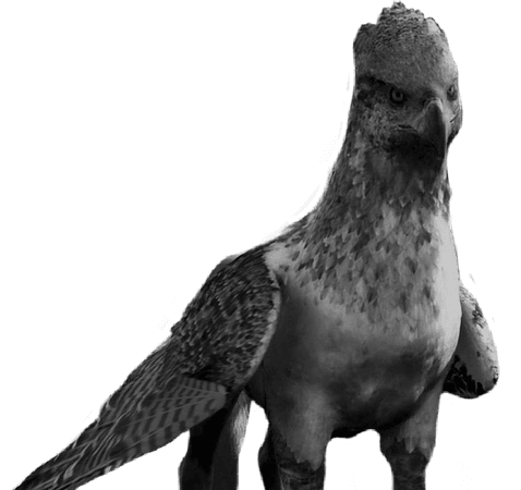 harry potter creatures transparent - hippogriff