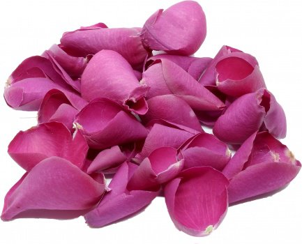 Hot Pink Rose Petals - uncleroys.co.uk