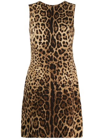 Dolce & Gabbana Leopard Pattern Shift Dress