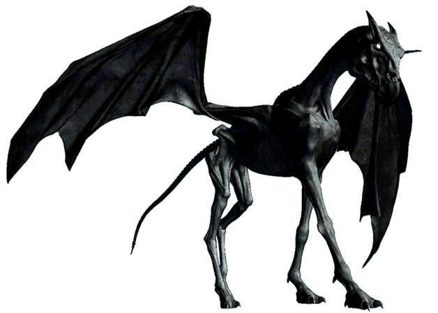 Thestral-Drawing-Harry-Potter-PNG.png (1200×860)
