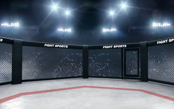 MMA Background (612×383)