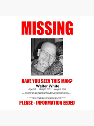 Missing Walter White Poster