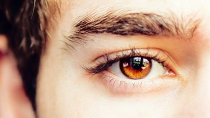 brown male eyes - Google Search