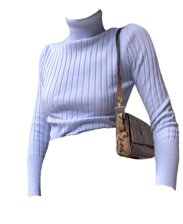 turtle neck png
