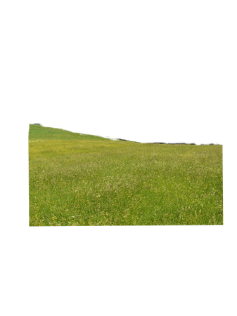 green grass meadows rolling hills backgrounds