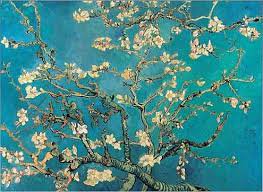 blossoming almond tree