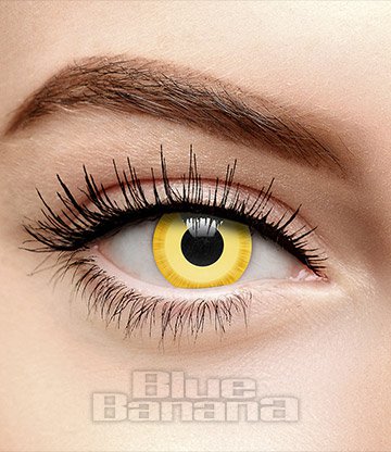Vampire 1 Day Gold Coloured Contact Lenses, Coloured Contacts UK