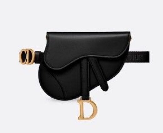 Dior belt bag