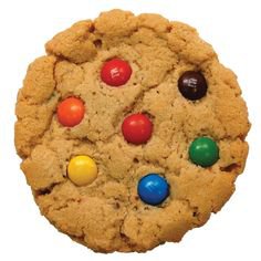 biscuit cookie