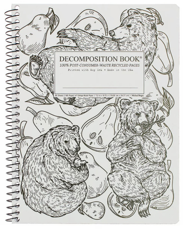 decomposition book