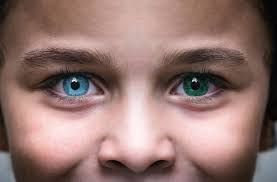 blue and green eyes - Google Search