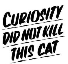 Curiosity Did Not Kill This Cat text
