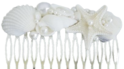 Seashells Haircomb