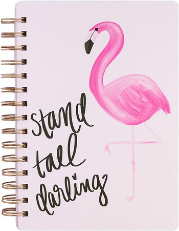 Amazon.com : Stand Tall Darling Pink Flamingo Gold Lined Spiral Notebook Study Journal School Work Motivational Tropical Writing College Work Cube : Office Products