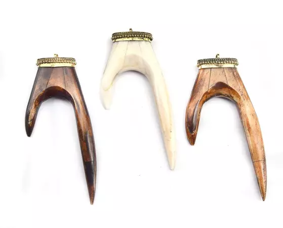 Bone Pendant | Antler Tusk Shaped Natural Ox Bone Pendant with Dotted – Only Beads