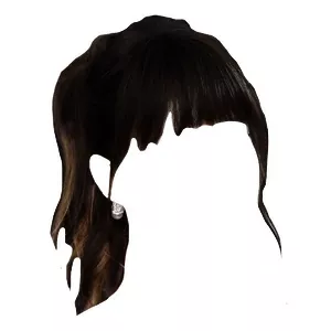 Black ponytail with brown streaks and bangs (SuHi edit)