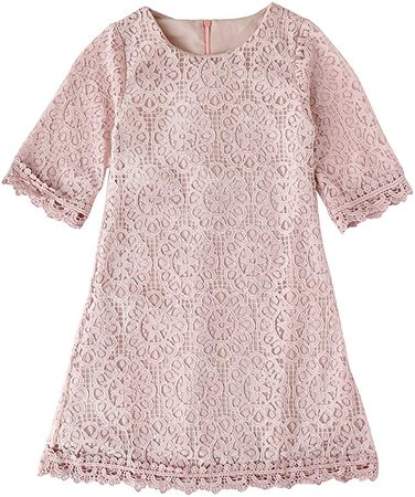 Amazon.com: BTGIXSF Toddler Baby Girls Lace Dress Half Sleeve Crew Neck Floral A-Line Party Princess Dress 526-Pink-120: Clothing
