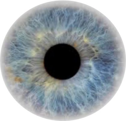 Blue Eye Iris 4